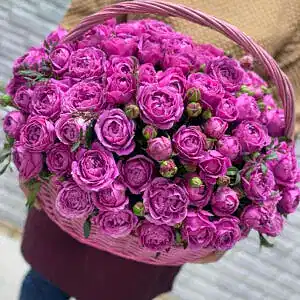 Миссис Баблс в корзине