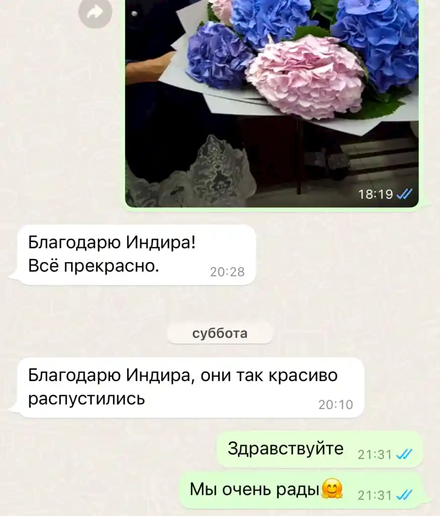 отзывы11