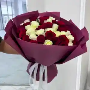 51 Красно-Белая Роза