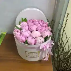 Пионы