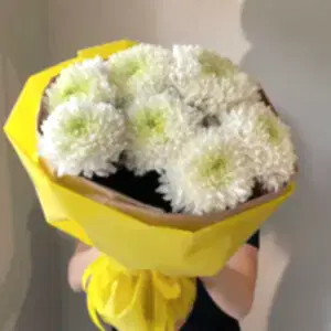 Хризантемы